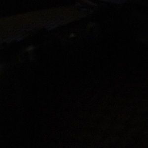 Meet your Posher, Reggie